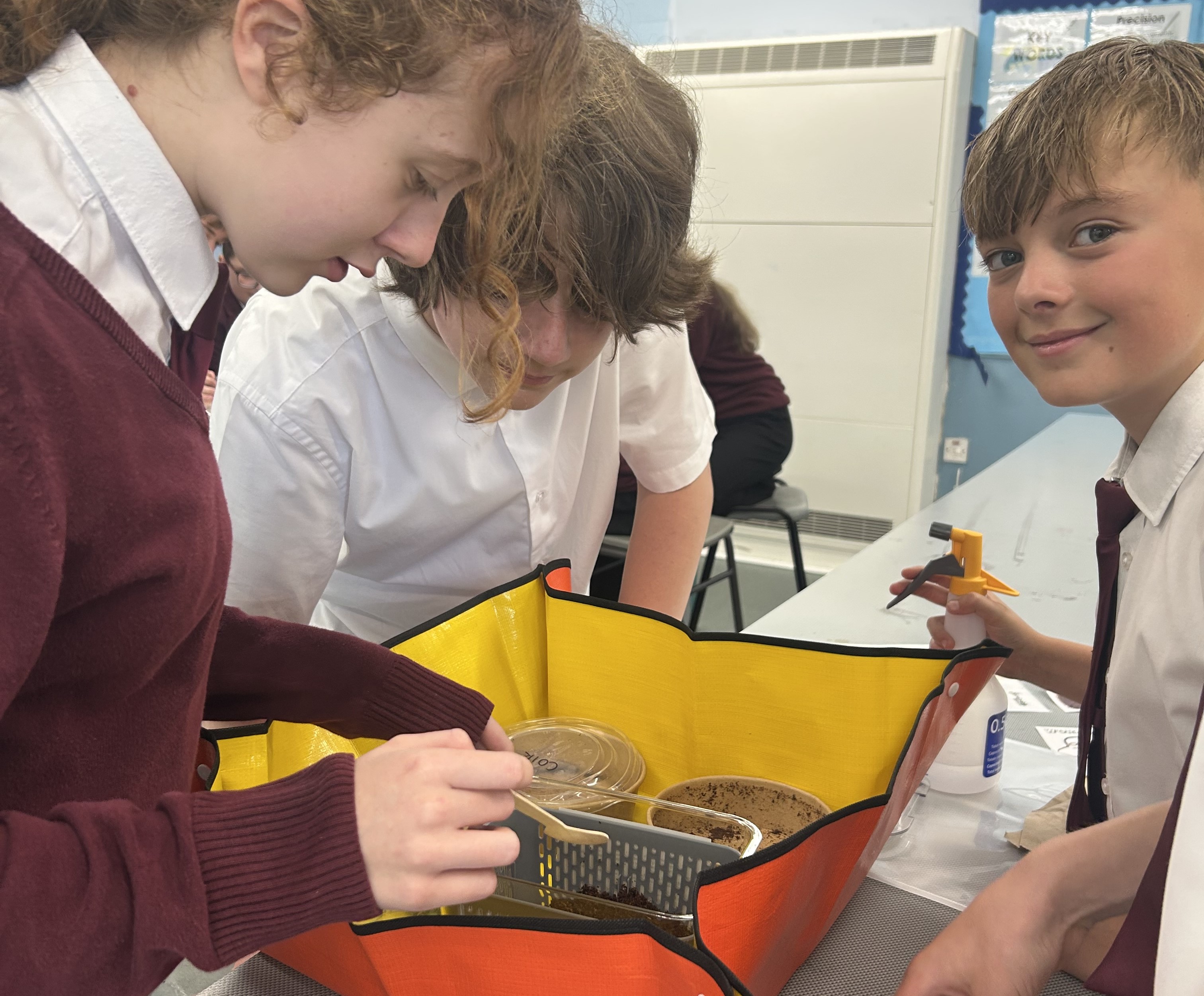 Sustainable Waste: Wonderful Worms at Work